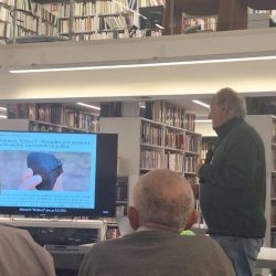 Georaznolikost meteorita